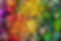 vegetables.jpg