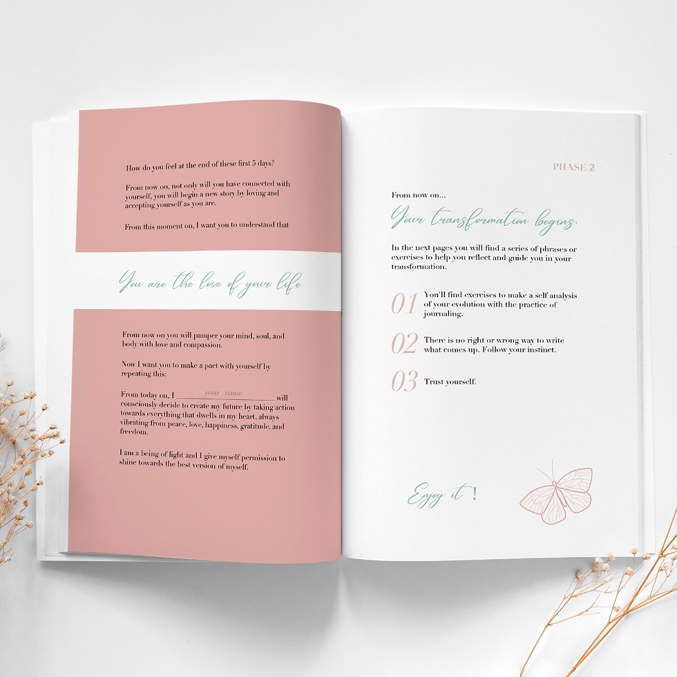 Miniatura: New Beginnings Journal English