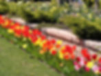 Chris Mohr Landscaping & Masonry