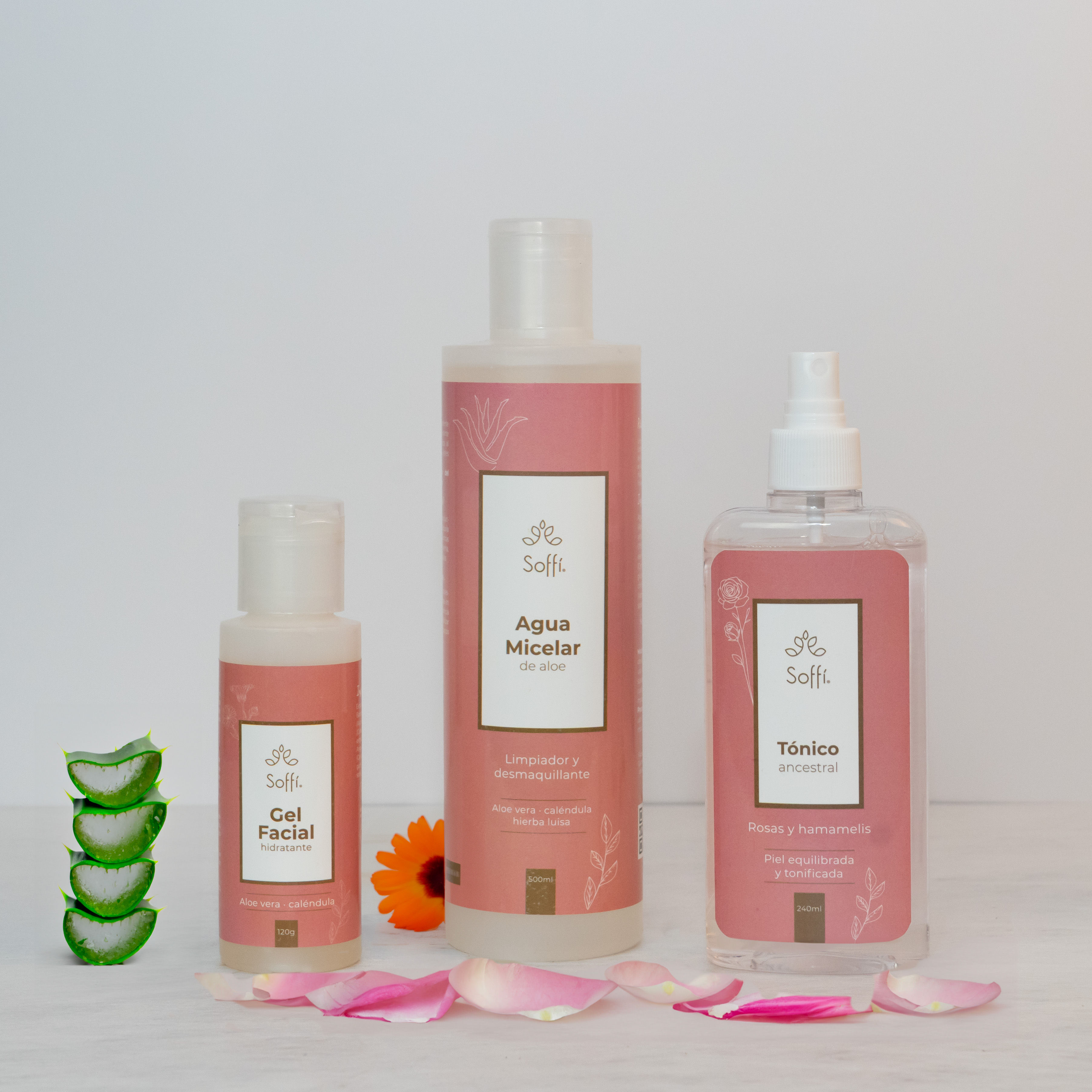 Kit Facial Piel Grasa