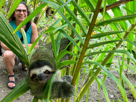 Discover Ecotourism Panama: Top Reasons to Choose an EcoResort