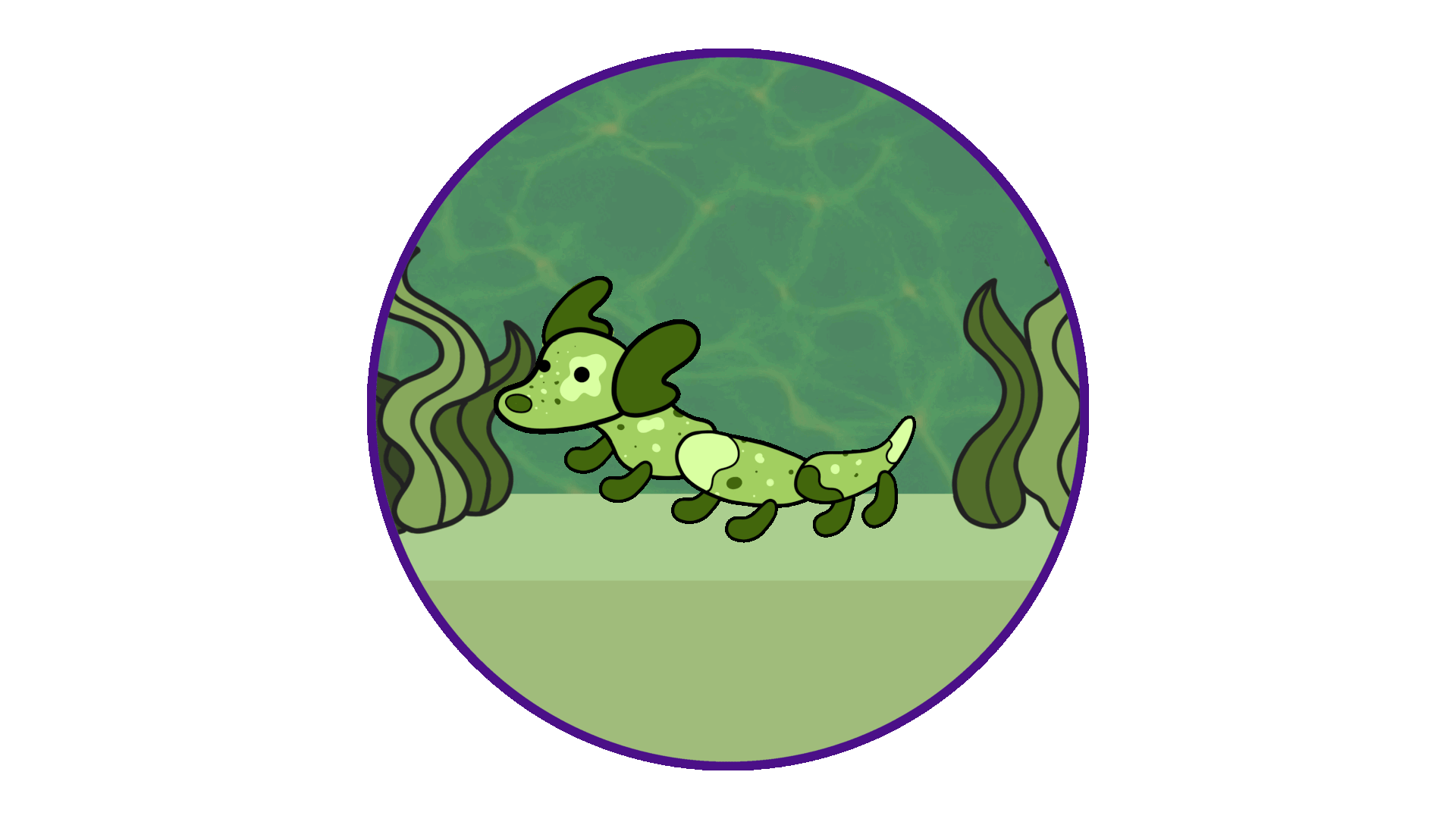 Dascheel: Murky Marsh