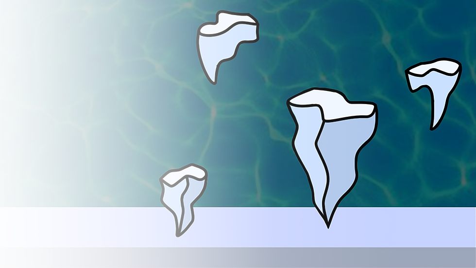 Blizaird bay banner copy.png