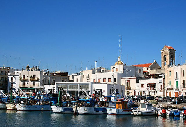 Presentazione del progetto
MOLA SOSTENIBILE
Azioni per il monitoraggio e per il controllo ambientale 