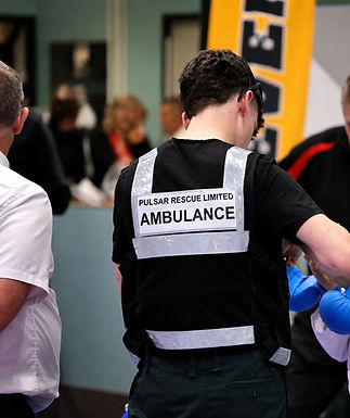 boxer being checked over by Pulsar team member