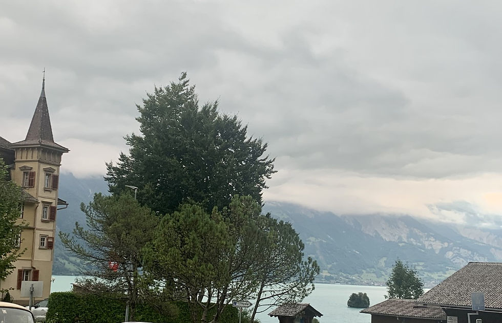 View from park up in Iseltwald