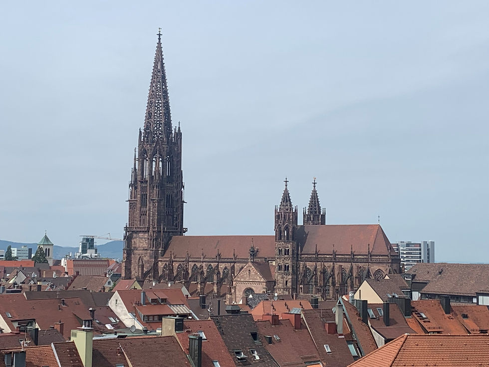 Freiburg Munster