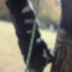 Miniatura: Notch Gecko® Aluminum Climbers (Tree)