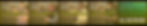 300 kens2 .jpg