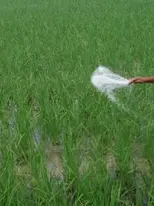 युरियाला केंद्र सरकारचे बायबाय; दोन वर्षानंतर आयात बंद