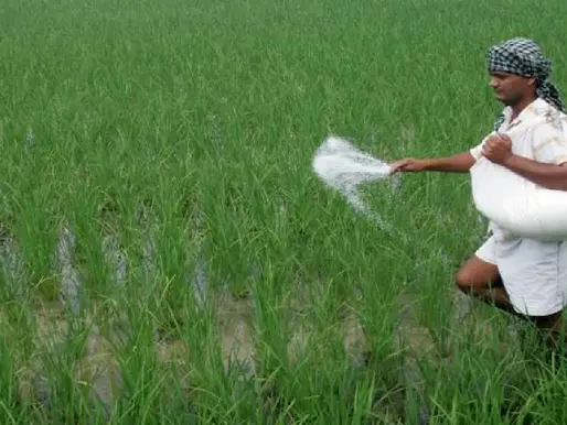 युरियाला केंद्र सरकारचे बायबाय; दोन वर्षानंतर आयात बंद