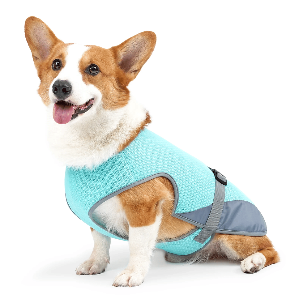 Thumbnail: Cooling Vest - Breathable Dog Vest for Hot Summer Days - Adjustable
