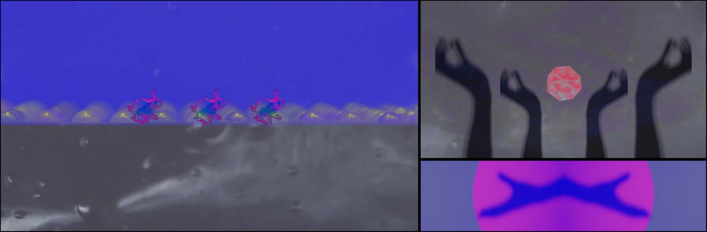 屏幕快照 2021-10-02 12.14.31.png