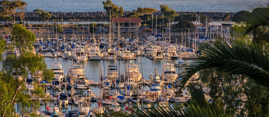 The Best Pizza Spots in Dana Point (A Local’s Guide You Can Actually Trust)