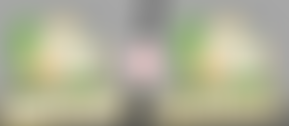 Renting vs. Owning a Home: Pros and Cons to Consider | Jacob Williamson Realty