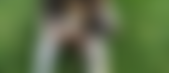 The Art of Selling Your House in California: Insights from a Cypress Realtor