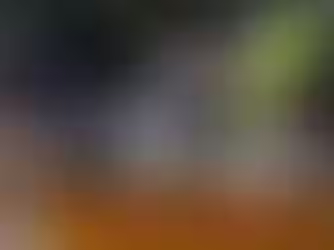 2 Alleged Rapes, 1 Murder in 24 Hours: Ex-House Help Rahul Meena Arrested in Delhi Kailash Hills Case