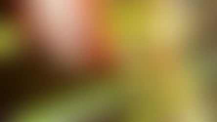 Noi reguli pentru reducerea risipei alimentare