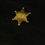Thumbnail: sheriff badge