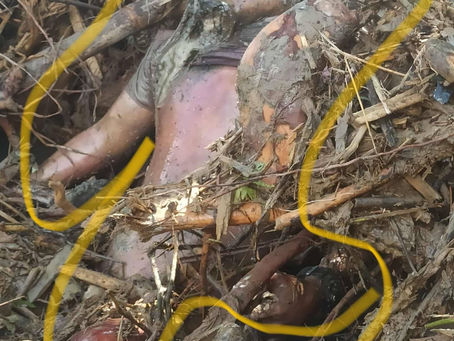 Putao Ginra Kata Marang Matut Manoi Htu Ai Majaw Sharut Ga Gyi Nna Mung Masha Marai (2) Asak Si Sum Ai Lam