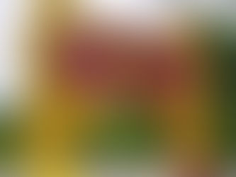 Dum Nta Langai Kaw Na Marai Langai Hpyen Wunkat Lung Ra Ai Sha N-ga Nkung Nbyen Ai Amyu Shayi Du Hkra Hpyen Lahkawn Hkrum Nga Ai Lam