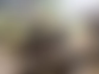 ဗန်းမော်တိုက်ပွဲ ဆက်လက်ပြင်းထန်