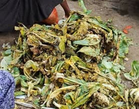 ဖားကန့်တက်ရန် တန်းစီစောင့်ဆိုင်းနေသည့် ကုန်ကားမှ ကုန်စိမ်းနှင့် အသား၊ငါးများ ပုပ်သိုးပျက်စီးသောကြောင့် စွန့်ပစ်နေရ