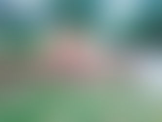 Hkat Cho Mare Hta Lak Nak Kaba Si A Majaw Asak Si Sum Ai Mung Masha Marai (8) Du Hkra Nga Wa Ai Lam