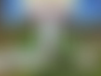 Nmawk Ginra Hta Hpyen Nbungli Ni Hte Laja Lana Gasat Nga Ai Hte Mung Masha Si Hkala Ai Lam Nga