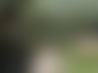 Myen Hpyen Dap Kawn Hkawm Sa Hkawm Wa Lam Asak Masat Da Ai Majaw Tang Hpare Lahta Daw Kanbau Bungli Galaw Sha Mung Masha Ni Hkawm Sa Hkawm Wa Yak Ai Lam