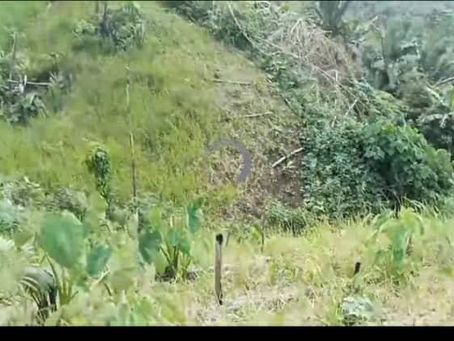 Sumpra Bum Ginra Kata Yu Li Hku Grai Sawng Taw Ai Lam