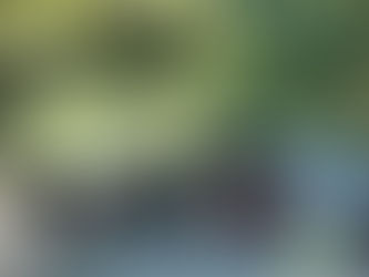 Men Who Raped a Young Woman Further Murdered a Man