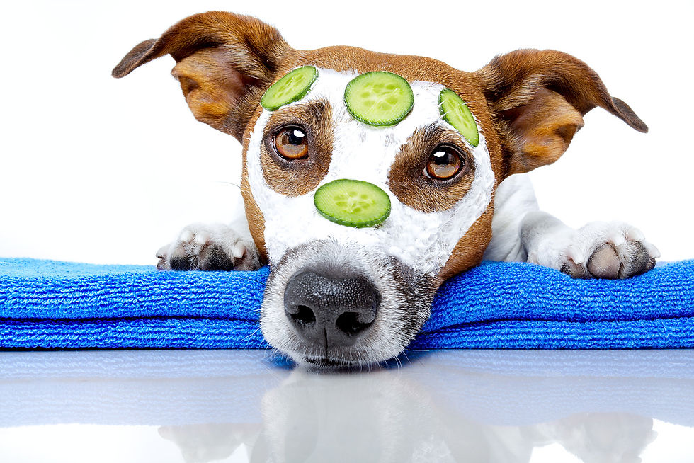 spa services