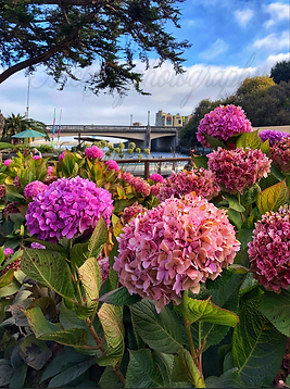 Screenshot 2023-03-03 at 9.50.32 PM.png