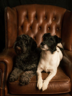 Poppy & Kivis