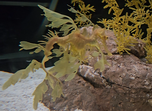 Screenshot 2025-06-14 103914.png