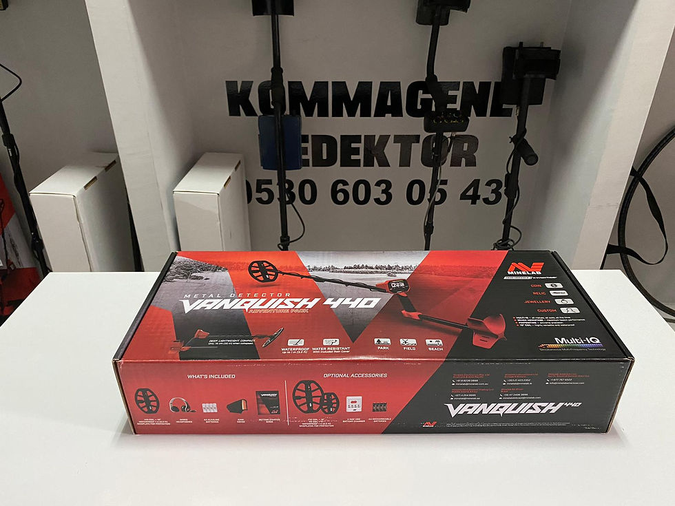Minelab Vanquish 440 Dedektör