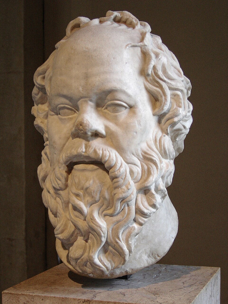 A marble head of Socrates in the Louvre (copy of a lost bronze head by Lysippus) From Wikipedia 