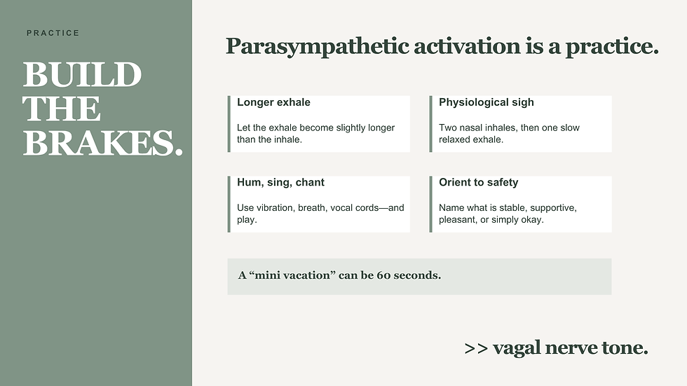 Parasympathetic activation practices related to balance of the nervous system from stress to downregulation.