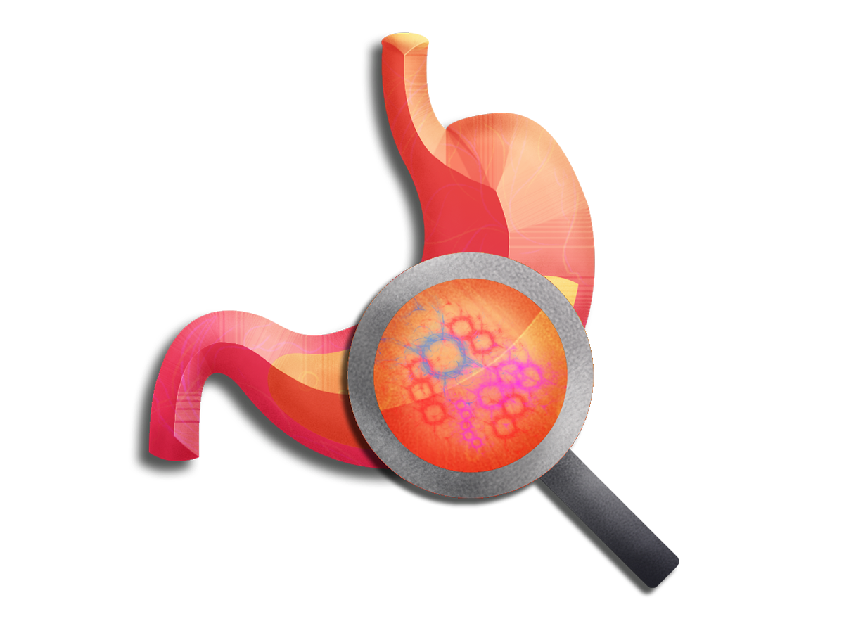 Gut Microbiome At Home Test