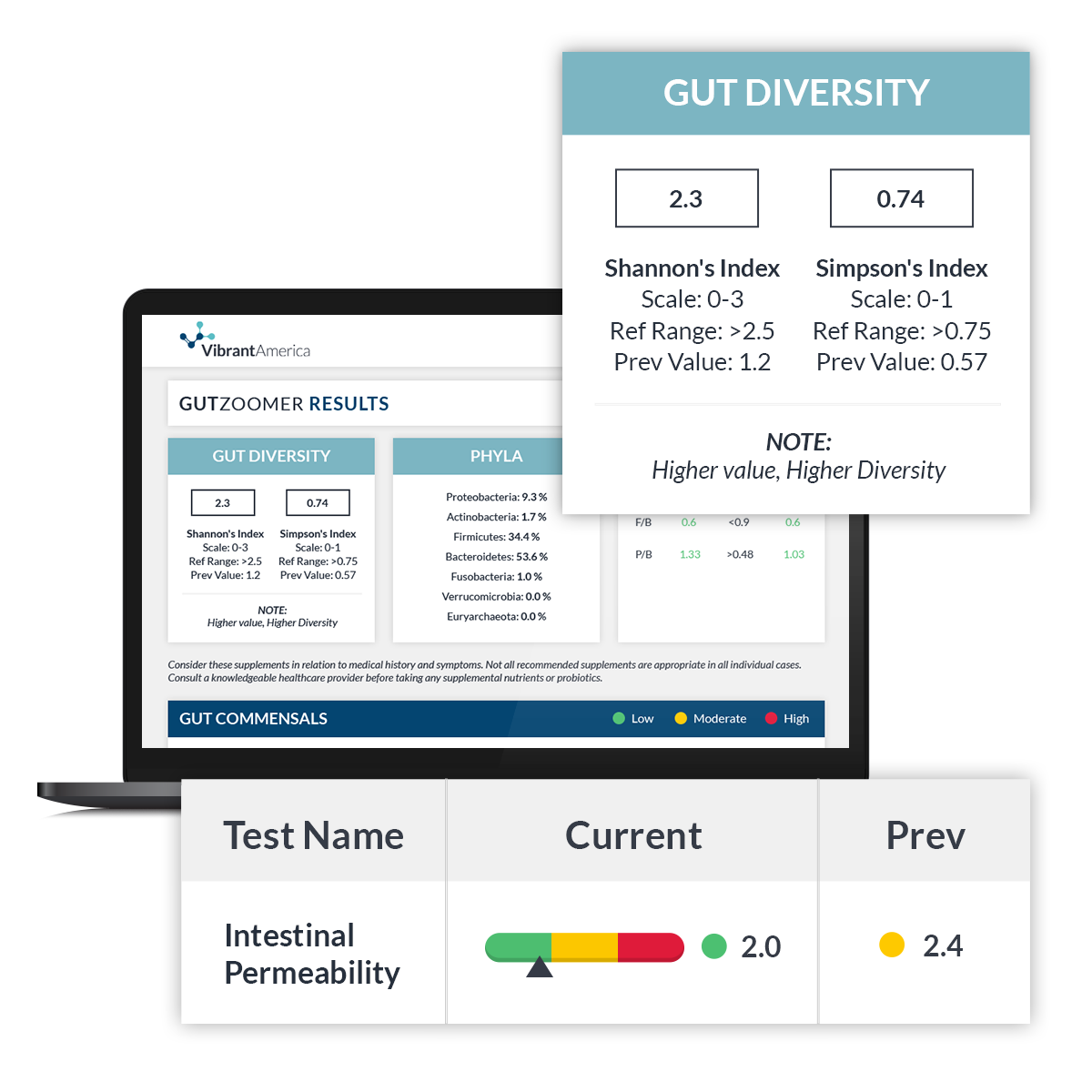 Inside the Gut Zoomer Test At-Home Stool Test