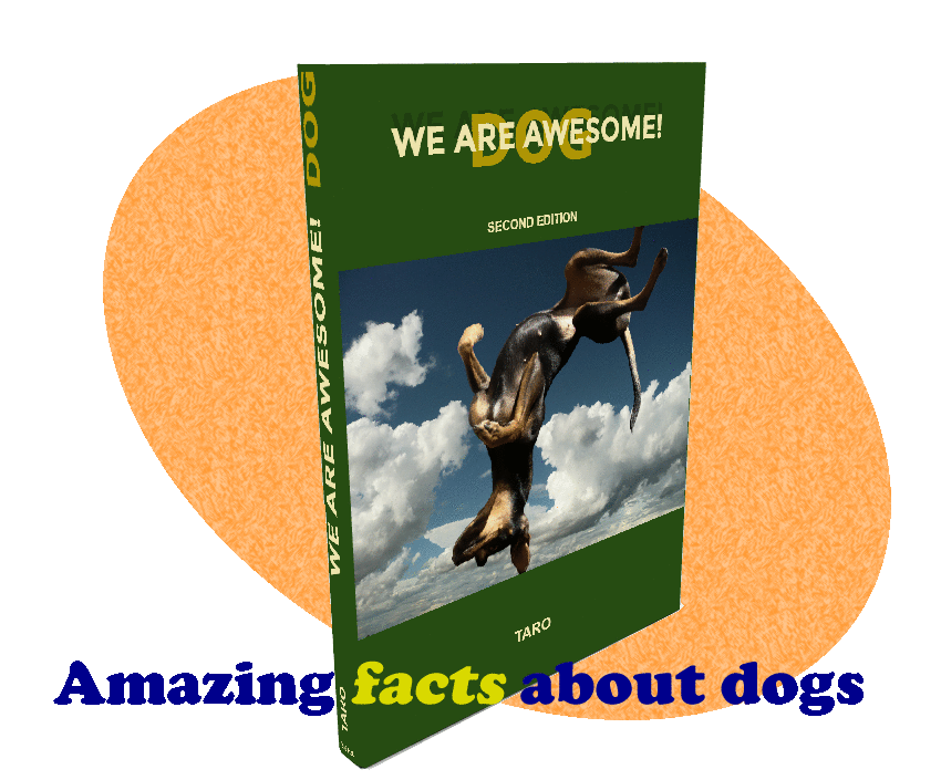 Blog Animated Gif.gif