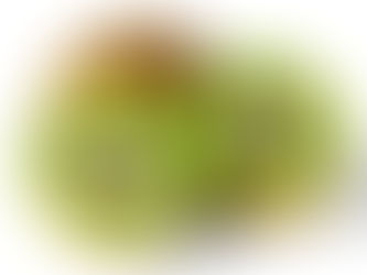 Kiwi - a successful marketing twist