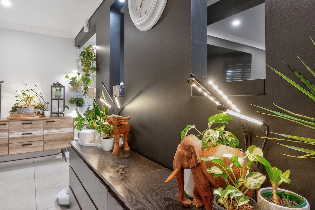 3 McDermott Place, Gunnedah - Thumbnail 7