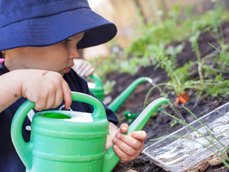 Stephanie Alexander Kitchen Garden Programme at Dragonfly's Early Learning