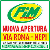 MANCHETTE-NEPI-1.jpg