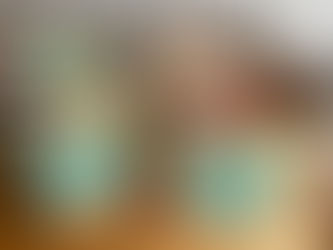 How to host a Toy Drive or Collection?