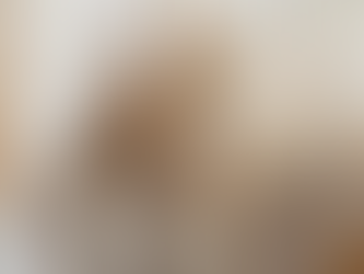 15+ Super Cute Shops To Buy Pampas Grass Online