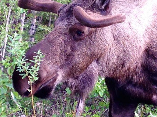 Who Do You Choose to Be?