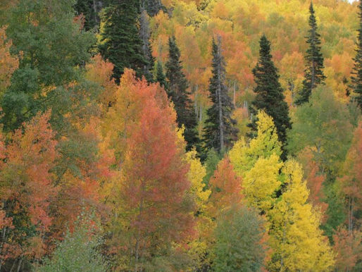 Being Busy or Being Productive